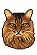 Cat Icon
